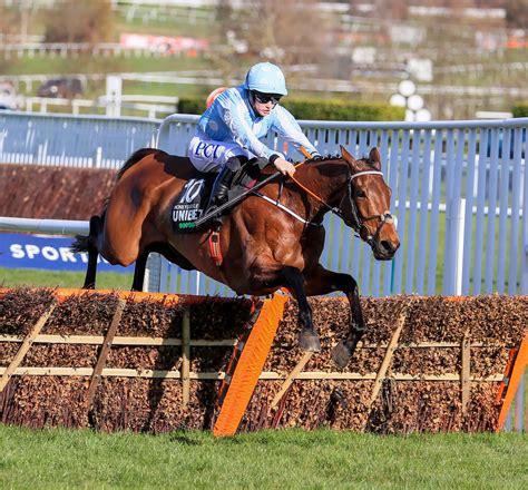champion hurdle 2022|The 2022 Unibet Champion Hurdle: statistics, trends, .